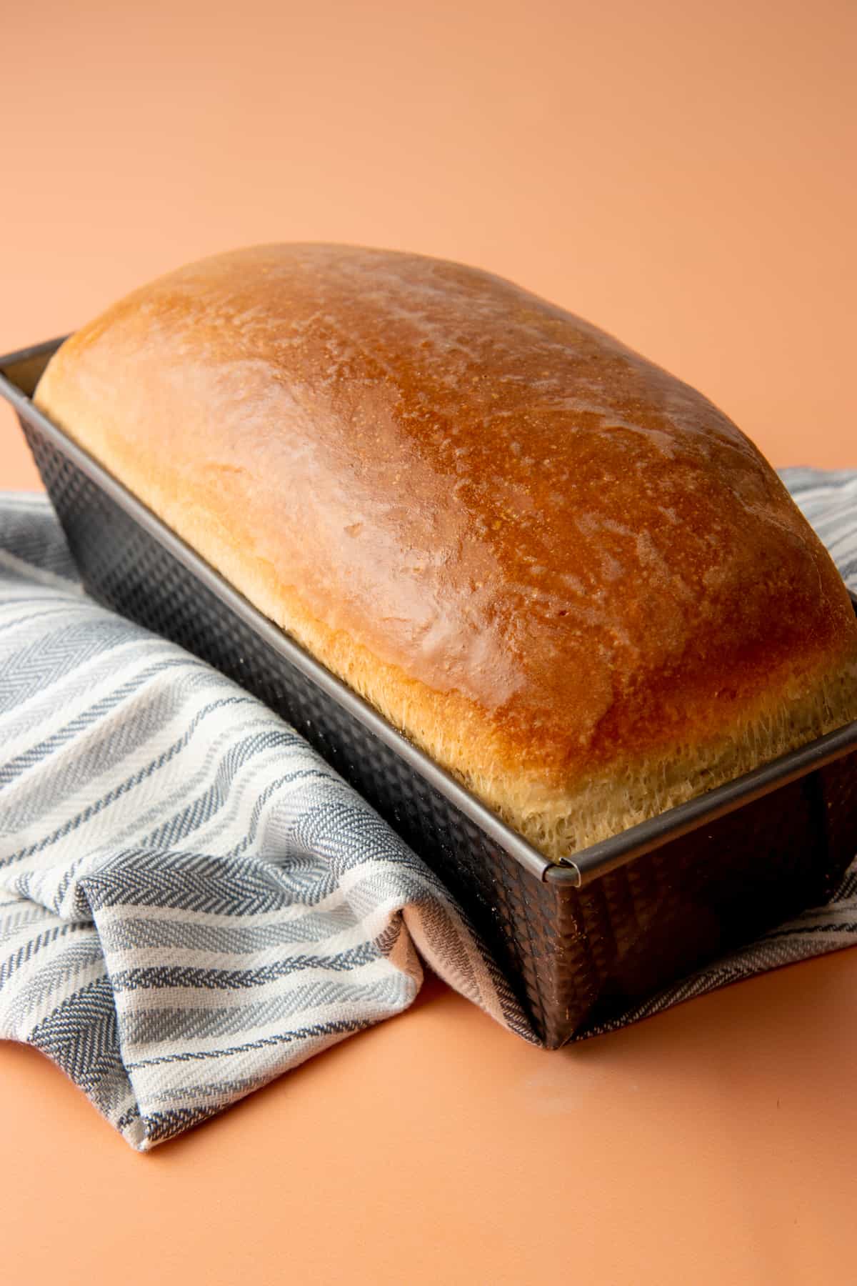 Easy Homemade Sandwich Bread