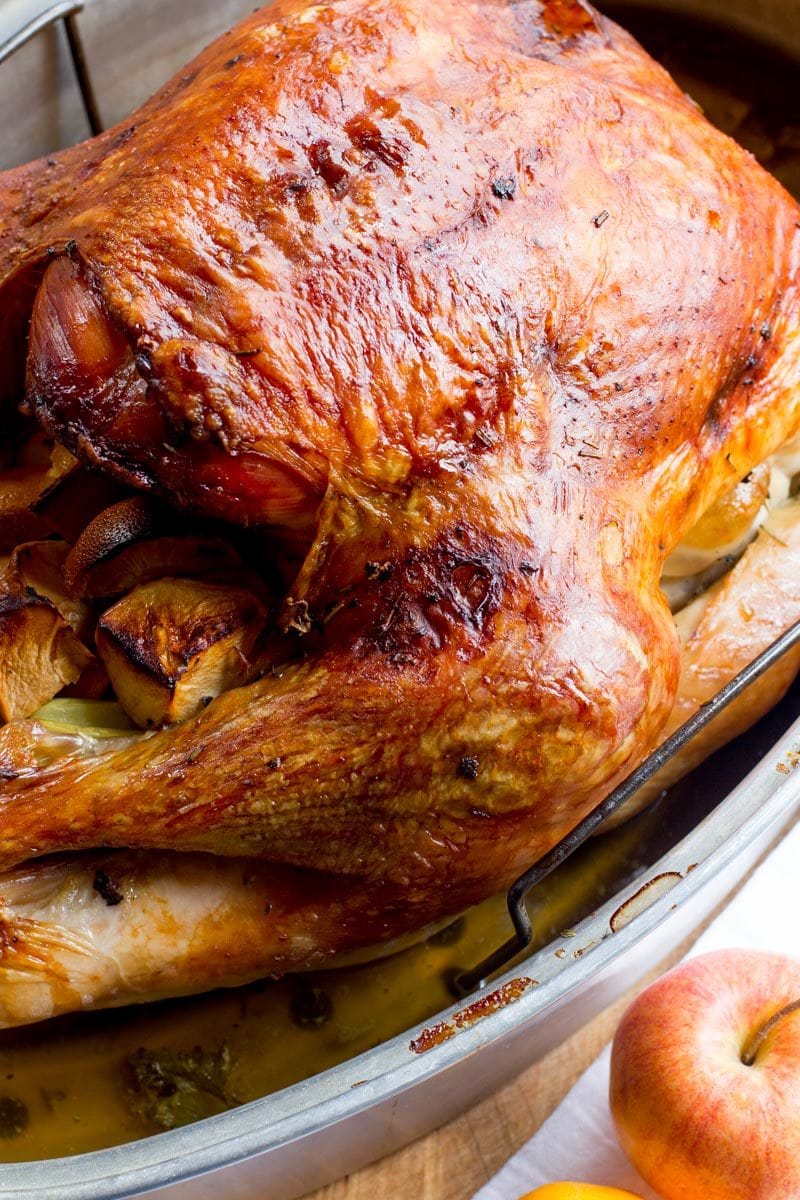 Close up of a roasted turkey in a roasting pan