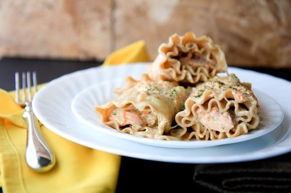 salmon parmesan lasagna roll-ups