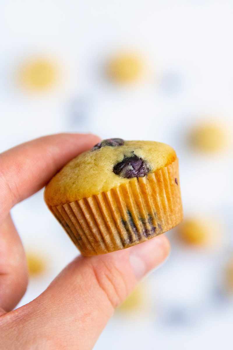 Two fingers hold up a mini blueberry muffin.