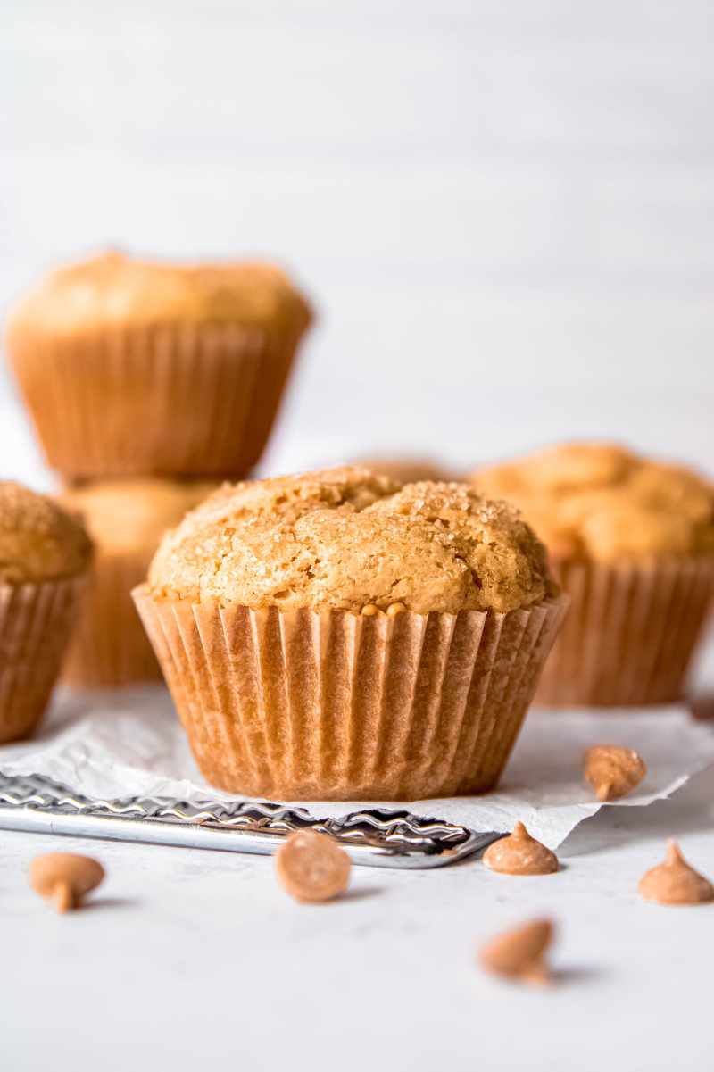 A peanut butter muffin rests on a parchment paper lined cooling rack with peanut butter chips around.