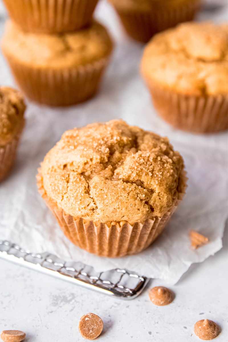 Perfect Peanut Butter Muffins