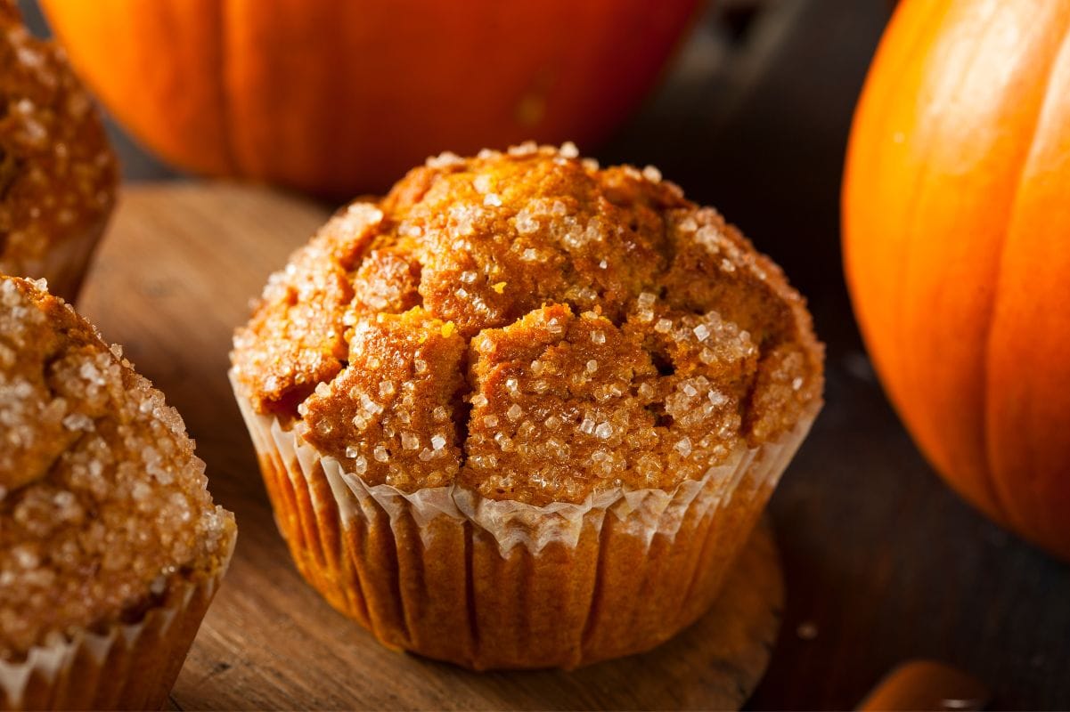 Tight view of a pumpkin muffin with orange pumpkins around it.