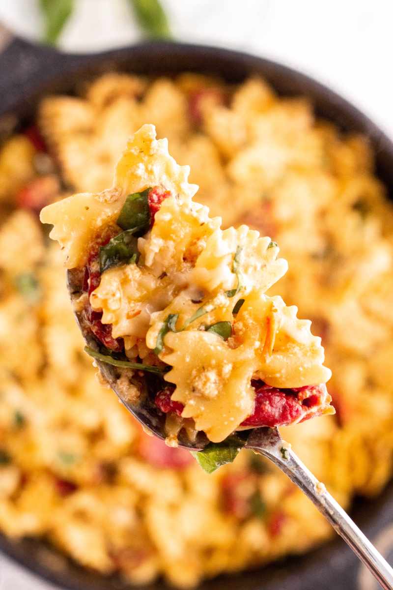 Close view of a spoonful of creamy sun-dried tomato pasta.