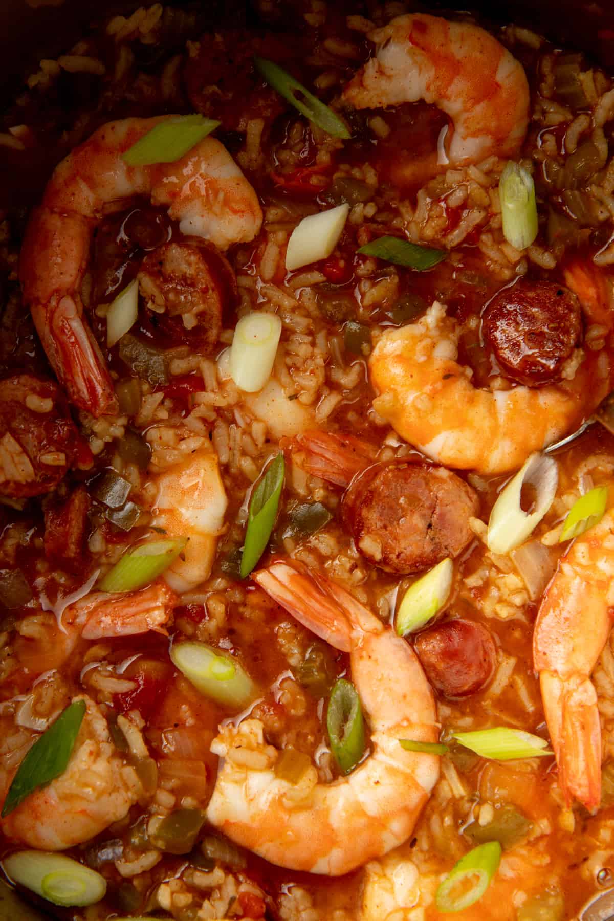 Shrimp and sausage jambalaya topped with scallions